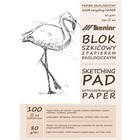 Szkicownik Jasny papier A4 100ark 80g/m2 LENIAR