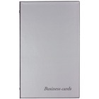 Wizytownik 200 NEW COLOURS, silver