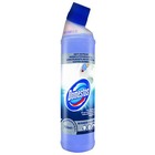 Pyn do WC DOMESTOS Toilet Limescale Remover 750ml - preparat do czyszczenia muszli klozetowych